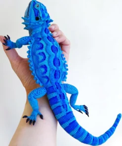 blue bearded dragon